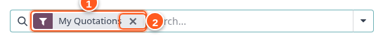 Search facet